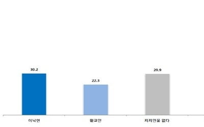 차기 대선주자 양자대결, 이낙연 30.2% vs 황교안 22.3%[한길리서치]