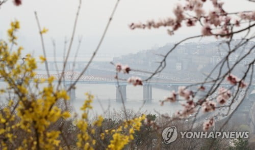 중소벤처기업인 36% "미세먼지 줄이려면 전기·자율차 육성해야"