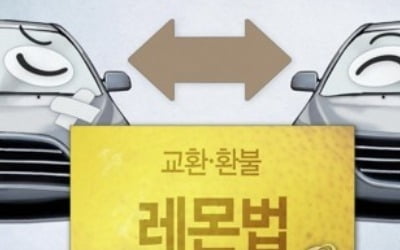 경실련 "레몬법 도입 환영"…수입차 업체 방문해 서한 전달