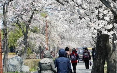 아침까지 쌀쌀하다 낮부터 따뜻…중서부 미세먼지 '나쁨'