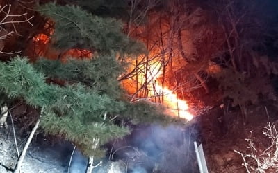 양구 야산서 불…0.3㏊ 소실·1시간40분 만에 진화