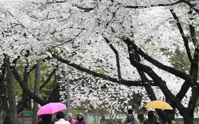 [날씨] 내일 전국에 비…미세먼지 '좋음'∼'보통'