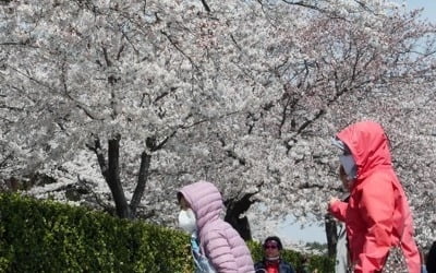 초봄 꽃샘추위에 경량패딩 등 방한용품 매출 '쑥쑥'