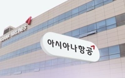 '아시아나항공 매각'에 금호그룹株 무더기 상한가