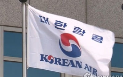 "한진그룹, 상속세 부담에 주인 바뀔 수도"