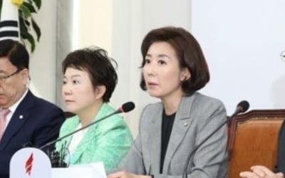 나경원 "남북정상회담 서두르지 말고 차근차근 제대로 해야"