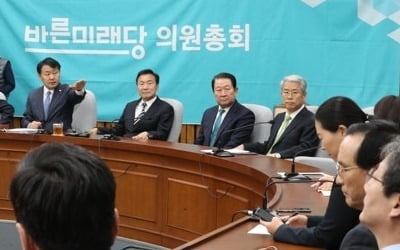 두 쪽으로 갈라진 바른미래…'선거제 패스트트랙' 표결처리 무산