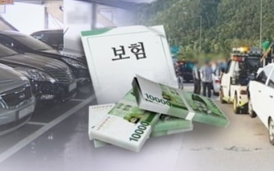 車보험 가격에 예민해진 소비자…인터넷·특약 가입 늘어