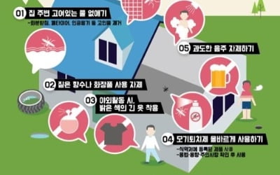 5월 동남아 여행 '뎅기열' 주의…"모기 기피제 준비하세요"