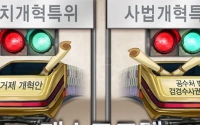 지역구 225석·비례대표 75석…준연동제 도입한 선거법개정안