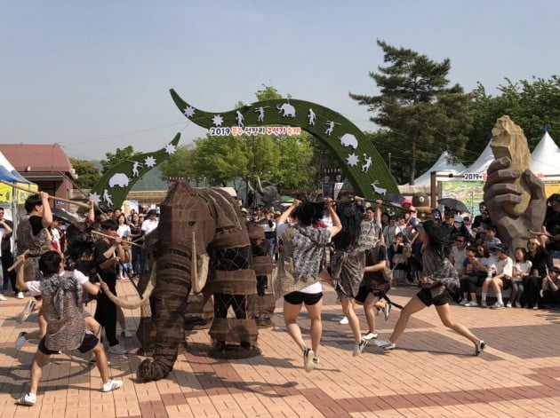 공주 석장리 구석기 축제 7만 명 방문...지역 대표 축제 자리매김