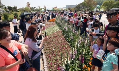 함평나비대축제 '티켓 파워' 입증…31만명 관람