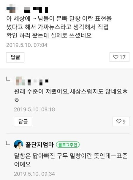 전여옥 전 의원 블로그 댓글에서 '달창'의 뜻을 둘러싼 논란이 뜨겁다