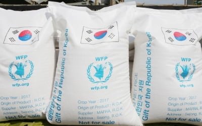  쌀 6600만포대만큼 묵은 갈등… 대북 식량지원 9년만에 '재시동'