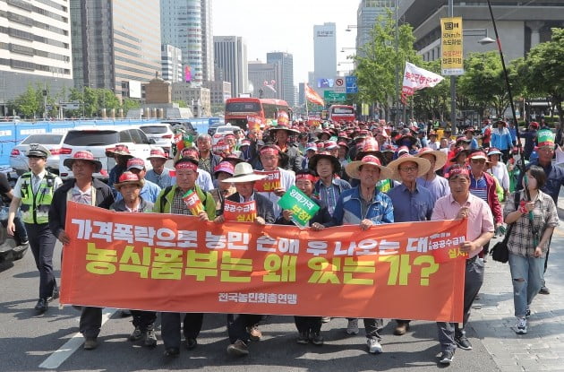 지난 16일 오후 서울 광화문 세종로공원에서 전국양파생산자대회를 마친 농민들이 정부의 양파가격 대책 수립 촉구를 하며 청와대를 향해 행진했다. [사진=연합뉴스]