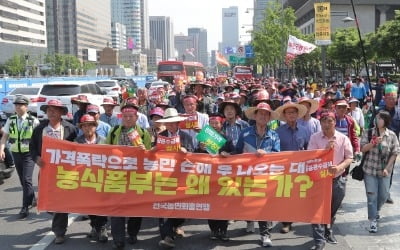 양파 가격 폭락…정부, 수급대책 내놨지만 농가는 '시큰둥'