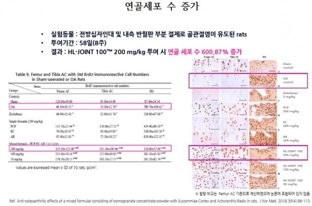 에이치엘사이언스, 우슬복합물 연골 세포수·두께 증가시켜…내달 출시