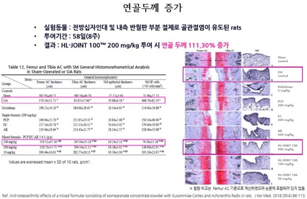 에이치엘사이언스, 우슬복합물 연골 세포수·두께 증가시켜…내달 출시
