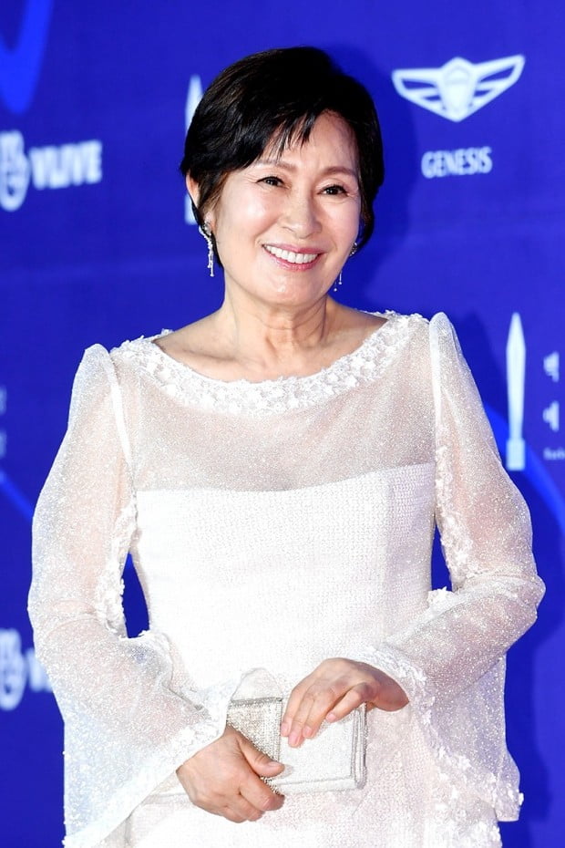 '2019 백상예술대상' 김혜자 /사진=한경DB