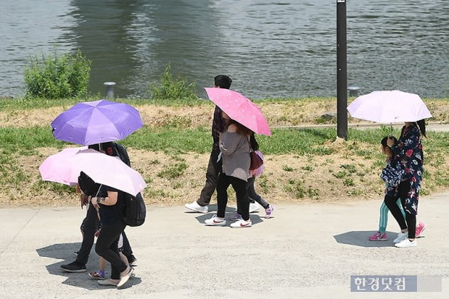 [포토] 태양을 피하는 방법