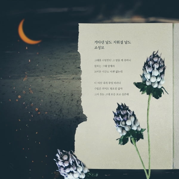 조성모, ‘여름아 부탁해’ OST 참여…이승환 원곡 ‘기다린 날도 지워질 날도’ 리메이크
