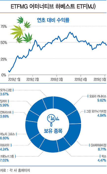 &#39;수익률 최고&#39; 마리화나 ETF, 투자 기업은?