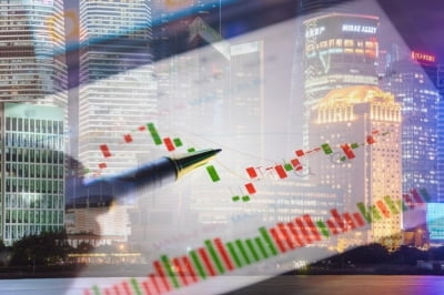 [주간전망]MSCI 신흥국지수 조정 부담…낙폭과대 대형주 '관심'