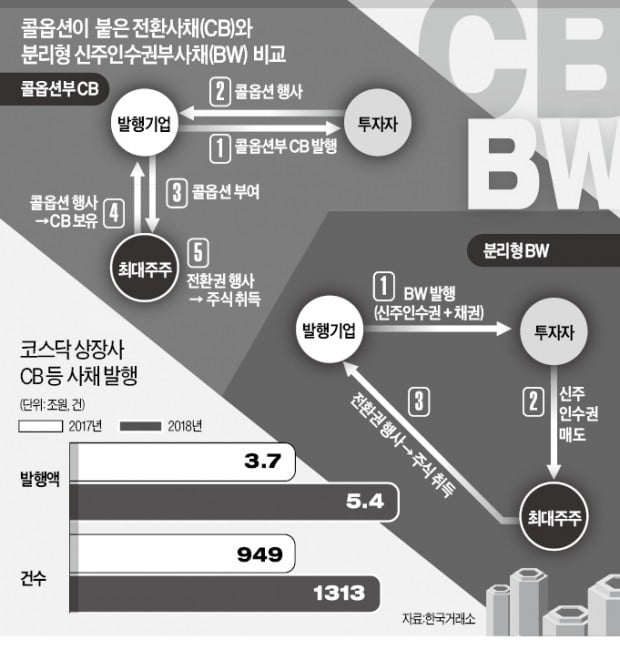 "경영권 편법 강화" vs "기업 자금조달 촉매"