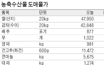 등산·나들이 철 맞아 오이값 평년보다 두배 올라