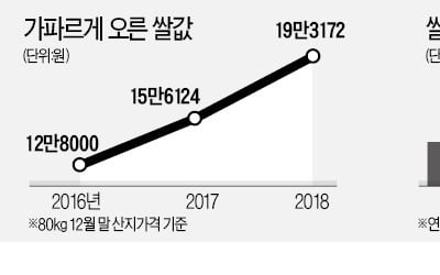 세금으로 올린 쌀값 덕에…농가소득 확 늘었다