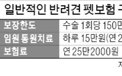 "펫보험, 청구 간소화해야 시장 커져"