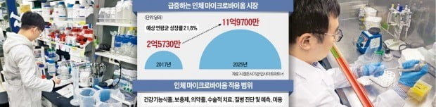 몸속 유익균 마이크로바이옴의 재발견