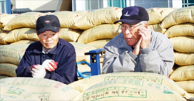 [한경 사설 깊이 읽기] 한국 농업, 정부 보조금만으로는 선진화 못 하죠