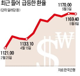 원·달러 환율 요동…장중 1172원선 돌파