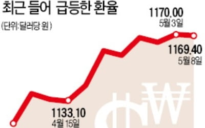 원·달러 환율 요동…장중 1172원선 돌파