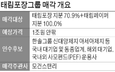 태림포장 매각 본격화…이틀째 급등