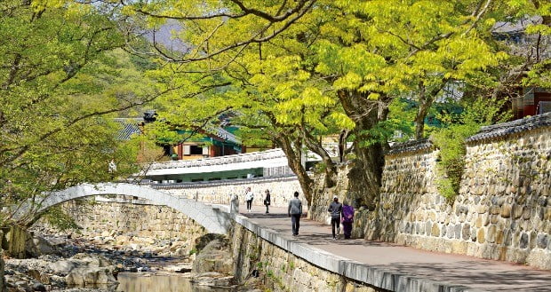 경남 양산 통도사 암자순례길의 통도사 계곡 