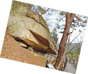 山寺 가는 '천년 숲길', 초록으로 눈을 씻고 길에서 깨달음을 얻다