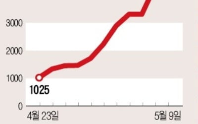 그래핀 테마주 폭등…국일제지發 '진실게임'