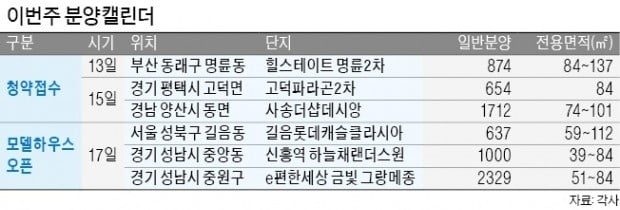 평택 고덕·세종 모델하우스 '북적'