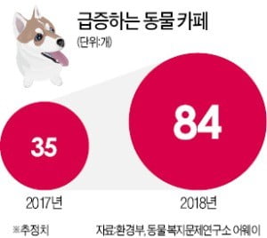 '허가제' vs '등록제'…또 불붙은 동물카페 논란