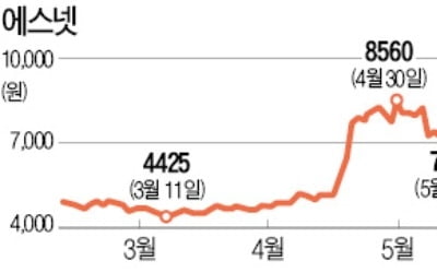 "조정은 분할매수 기회로"…SI기업 에스넷, 저평가 매력