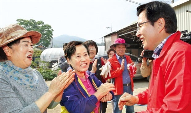 황교안 자유한국당 대표(오른쪽)가 14일 충북 제천시 송학면 무도리 고추밭에서 봉사활동을 하기에 앞서 농민들과 인사하고 있다.  /연합뉴스 