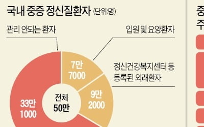 '사법입원' 등 강제치료 쏙 빠진 중증 정신질환자 대책