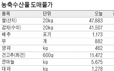 가뭄에 이른 더위…돼지고기·채소·생선값 들썩