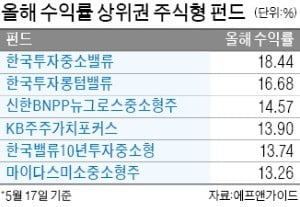 올 수익률 최고 18%…중소형株 펀드의 질주