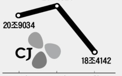 CJ그룹株, 시가총액 20兆 밑으로…반등은 언제?