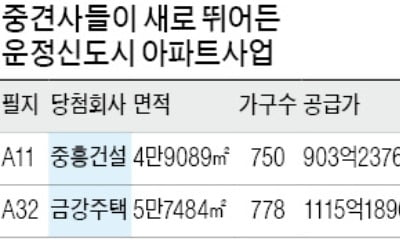 2기 신도시 분위기 안좋은데…운정 주택용지, 그래도 팔리네