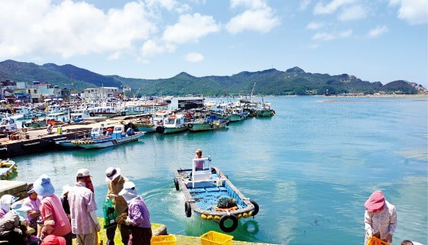 섬 주민들로 붐비는 흑산도 예리 선착장. 흑산도 여행을 제대로 즐기려면 한나절 또는 하룻밤은 묵어야 한다.  