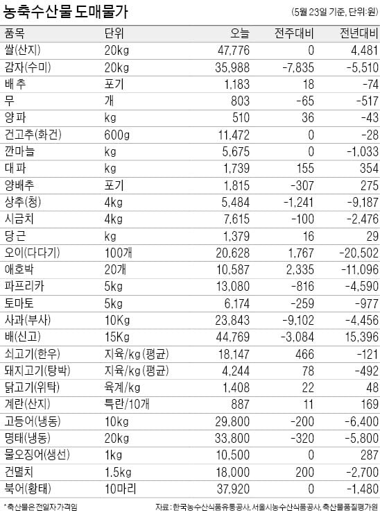 사과 소비 줄어들어…평년보다 가격 19% 하락